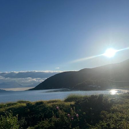 Evenes Artic Glamping Otel Evenesmarkja Dış mekan fotoğraf