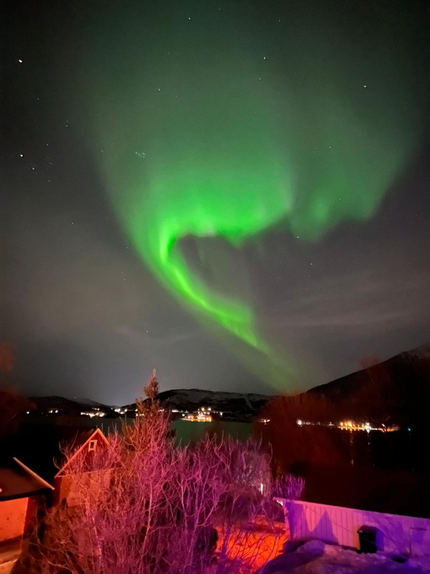 Evenes Artic Glamping Otel Evenesmarkja Dış mekan fotoğraf