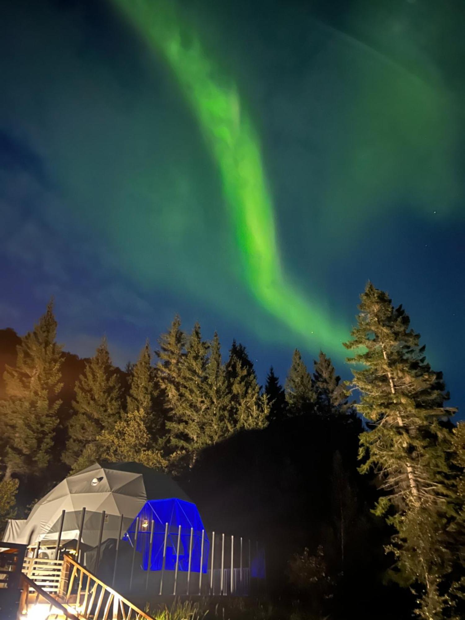 Evenes Artic Glamping Otel Evenesmarkja Dış mekan fotoğraf